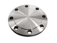 Blind flange